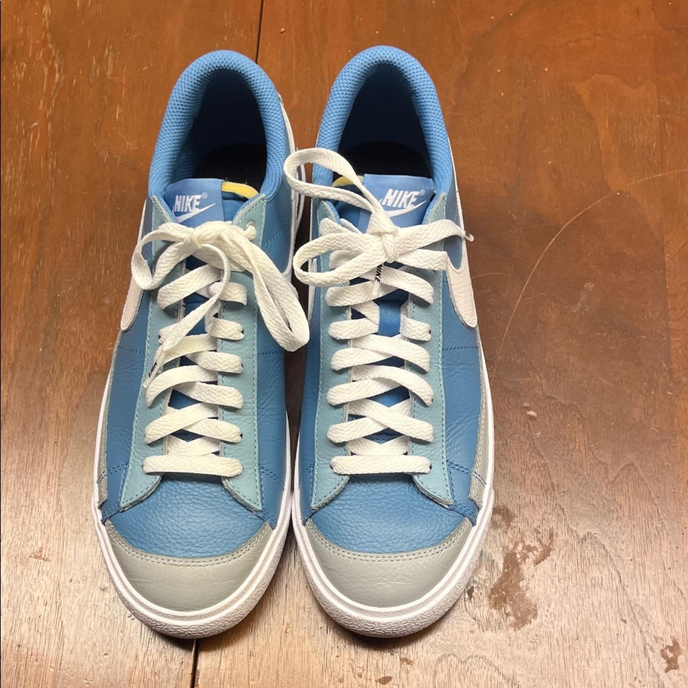 Nike Men’s Sky Blue Low-Top Sneakers with White Swoosh